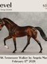 Fievel OOAK Tennessee Walker by Angela Marleau DDOOAKs26