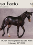 Ipso Facto OOAK Thoroughbred by Julie Keim DDOOAKs26