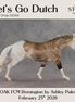 Let's Go Dutch OOAK FCM Remington by Ashley Palmer DDOOAKs26