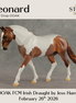 Leonard OOAK FCM Irish Draught by Jess Hamill DDOOAKs26