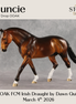 Muncie OOAK FCM Irish Draught by Dawn Quick DDOOAKs26