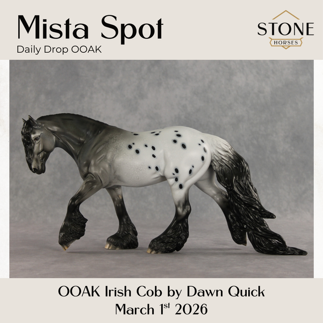 Mista Spot OOAK Irish Cob by Dawn Quick DDOOAKs26
