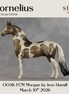 Cornelius OOAK FCM Morgan by Jess Hamill & Stone Team DDOOAKs26