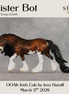 Mister Bot OOAK Irish Cob by Jess Hamill DDOOAKs26