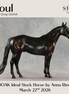 Soul OOAK Ideal Stock Horse by Anna Rieck DDOOAKs26