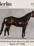 Merlin OOAK Ideal Stock Horse by Julie Keim DDOOAKs26