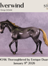 Silverwind OOAK Thoroughbred by Enrique Duarte DDOOAKs26