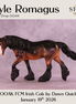 Kyle Romagus OOAK FCM Irish Cob by Dawn Quick DDOOAKs26