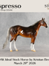 Espresso OOAK Ideal Stock Horse by Kristian Beverly DDOOAKs26