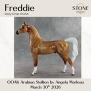 Freddie OOAK Arabian Stallion by Angela Marleau DDOOAKs26