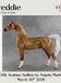 Freddie OOAK Arabian Stallion by Angela Marleau DDOOAKs26