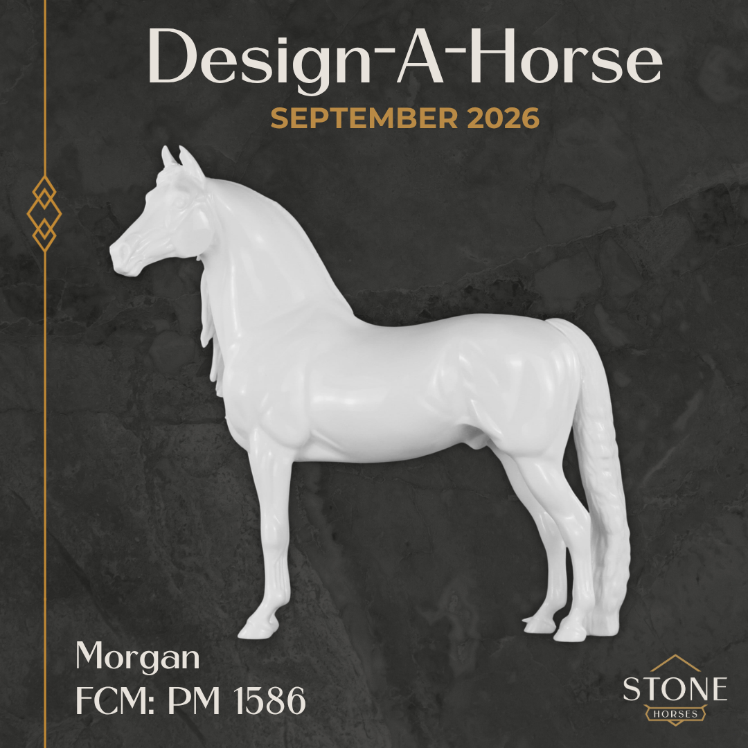 Design-A-Horse Morgan Stallion PM1586 - September 2026