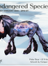 Polar Bear LE-9 Irish Cob by Enrique Duarte ES26