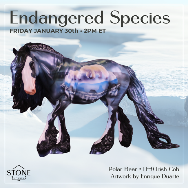 Polar Bear LE-9 Irish Cob by Enrique Duarte ES26