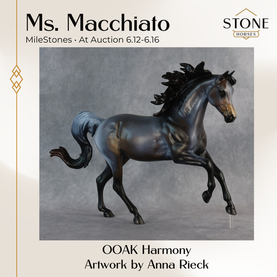 Ms. Macchiato OOAK FCM Harmony by Anna Rieck 6.12.2026 GS26