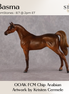 Basma OOAK FCM Chip Arabian by Kristen Cermele GS26