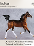 Hadiya OOAK EFCM Arabian Yearling by Kristen Cermele GS26
