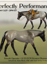 Smooth Operator LE-15 EFCM Western Pleasure Horse by Anna Rieck PFP26