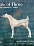 Mini Kit LE-5 FCM Chip Arabian by Ellen Robbins & Carissa Mathews Ro326