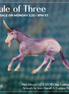 Mini Elfwyn LE-5 EFCM Chip Unicorn by Jess Hamill & Carissa Mathews Ro326