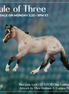Mini Lady Lyra LE-5 FCM Chip Cutting Horse by Ellen Robbins & Carissa Mathews Ro326