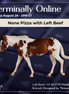 Left Beef LE-10 FCM Pebble Mule by Melanie Miller TO26