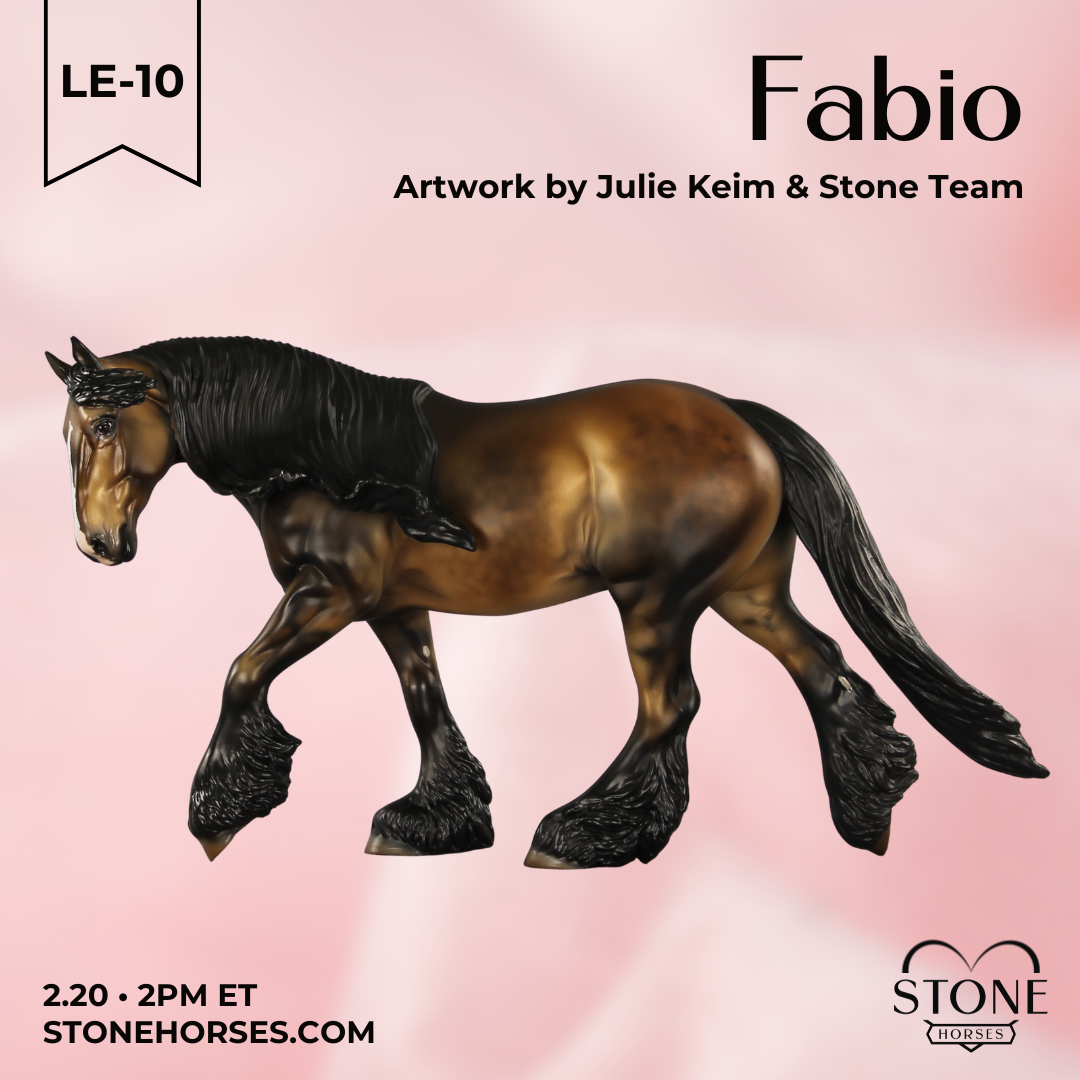 Fabio LE-10 FCM Irish Cob by Julie Keim VV26