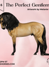 The Perfect Gentleman LE-5 EFCM Andalusian by Melanie Miller VV26