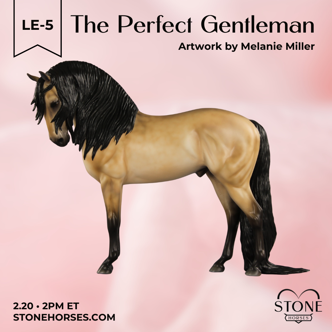 The Perfect Gentleman LE-5 EFCM Andalusian by Melanie Miller VV26