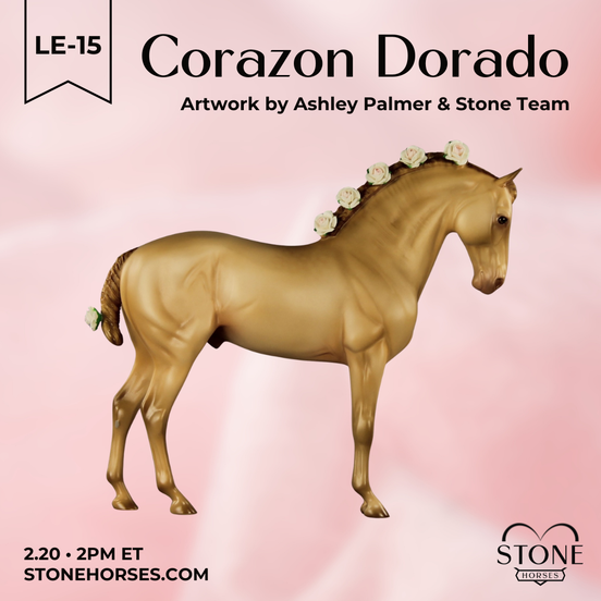 Corazon Dorado LE-15 FCM Andalusian by Ashley Palmer VV26