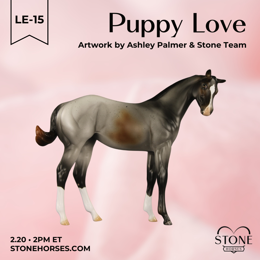 Puppy Love LE-15 FCM Stock Horse Weanling by Ashley Palmer VV26