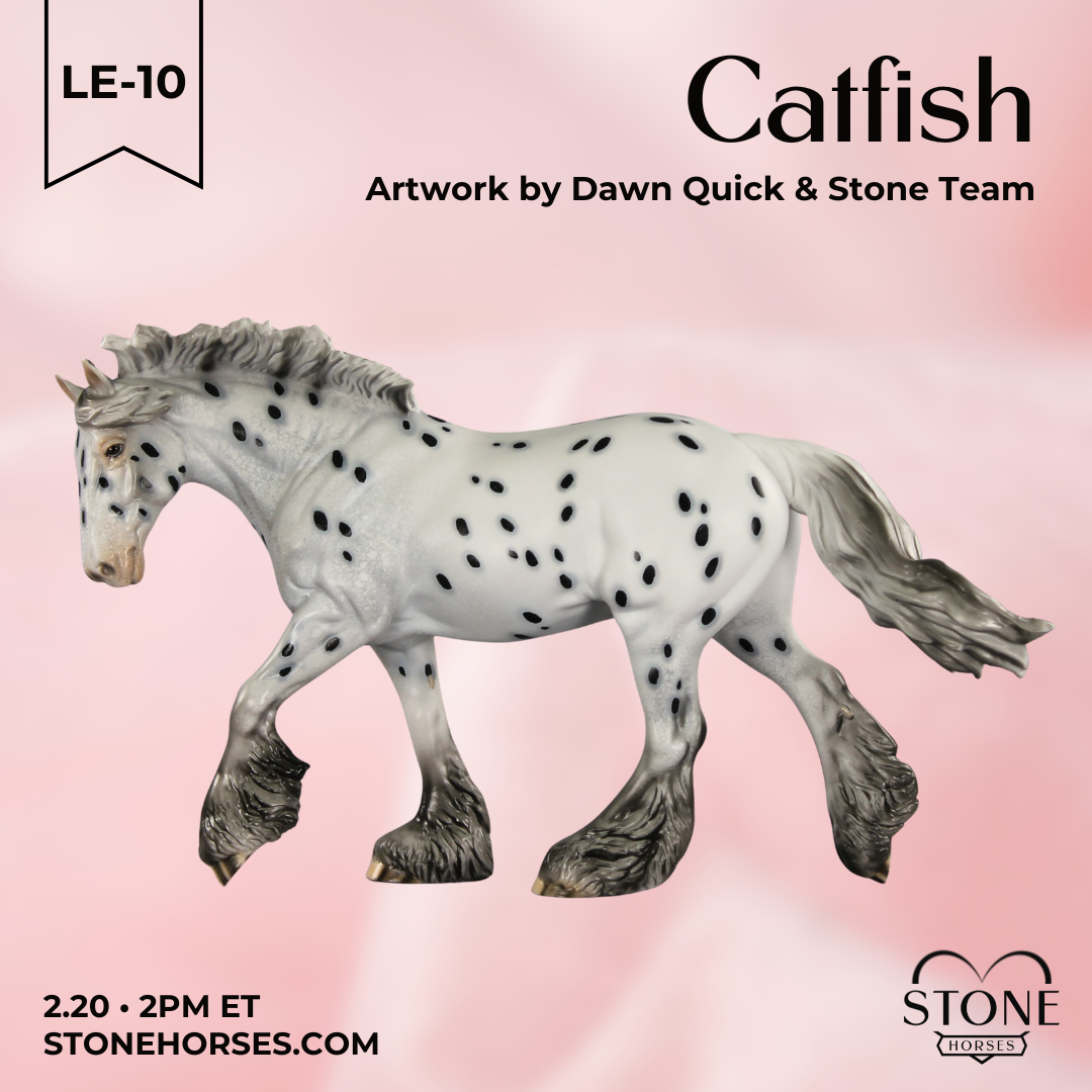 Catfish LE-10 FCM Irish Cob by Dawn Quick VV26
