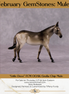 "Little Dove" OOAK Grulla Mule Chip By Tiffany Purdy - GemStone Series