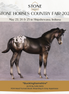 "Buckinghamshire" LE-10 FCM Weanling By Julie Keim SHCF25OS Run