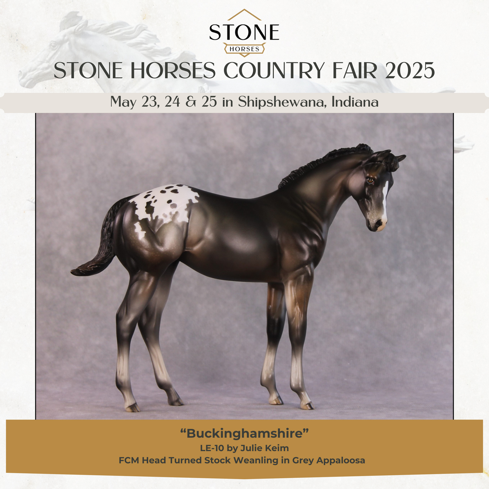 "Buckinghamshire" LE-10 FCM Weanling By Julie Keim SHCF25OS Run