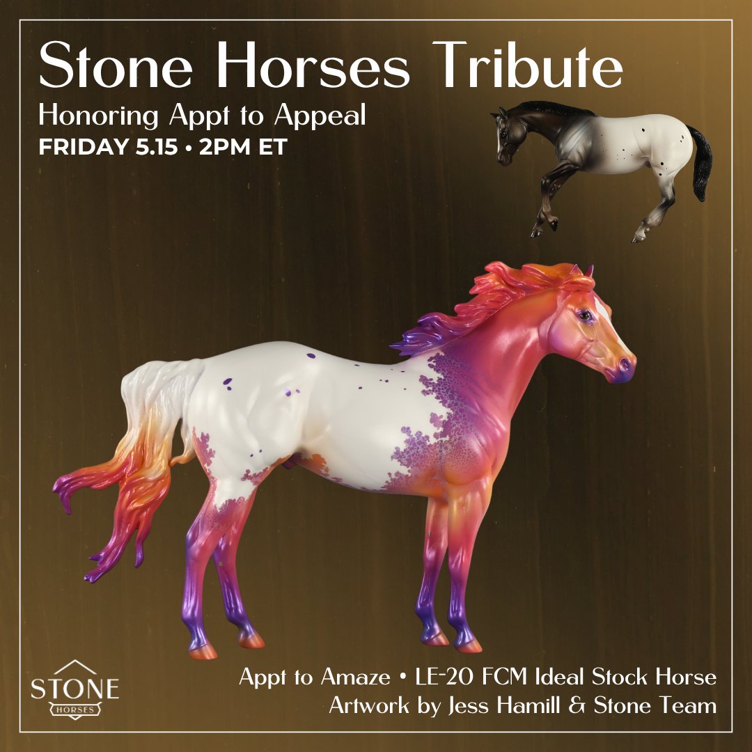 Appt to Amaze LE-20 FCM Ideal Stock Horse by Jess Hamill TS26