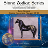 &quot;Castor&quot; LE-10 FCM Morgan By Ashley Palmer Zodiac Series: Gemini ZS25