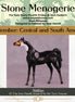 Atitlán LE-3 Chip Arabian by Jess Hamill MS25