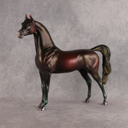 Drop Dead Gorgeous OOAK Arabian Stallion by Aimi Hettinger DDOOAKs26