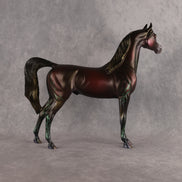 Drop Dead Gorgeous OOAK Arabian Stallion by Aimi Hettinger DDOOAKs26