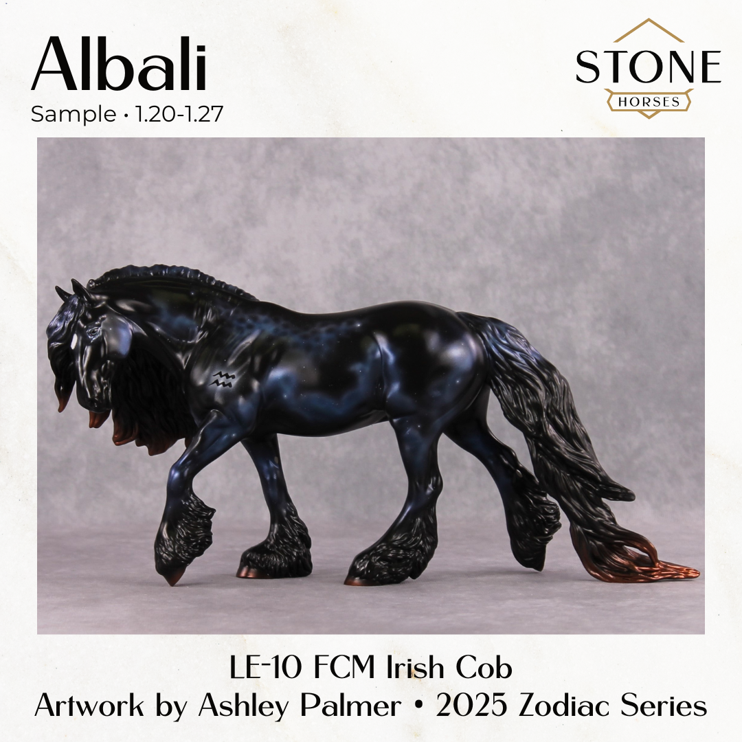 SAMPLE Albali LE-10 Irish Cob by Ashley Palmer SS0126