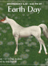 Tectonic LE-5 Chip Arabian by Jess Hamill SCD26