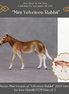 "Mini Velveteen Rabbit" LE-3 Mule Chip By Jess Hamill-Secret Surprise Chip Drop