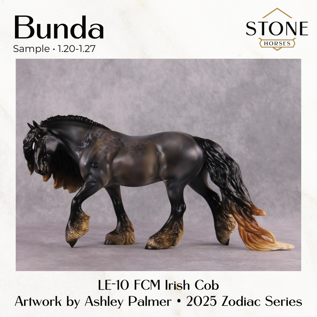 SAMPLE Bunda LE-10 Irish Cob by Ashley Palmer SS0126