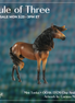 Mini Tonka LE-5 EFCM Chip Andalusian by Carissa Mathews Ro326