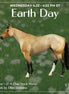 Meadow LE-4 Chip Stock Horse by Ellen Robbins SCD26