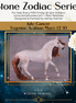"Tegmine" LE-10 EFCM Arabian Mare by Ashley Palmer ZS25
