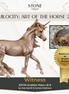 Art of the Horse "Witness" LE-5 EFCM Arab Mare by Jess Hamill EQ25