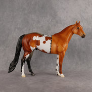 Scary Movie OOAK Ideal Stock Horse by Madi Wiseman DDOOAKs26