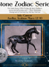 "Asellus" LE-10 EFCM Arabian Mare by Ashley Palmer ZS25